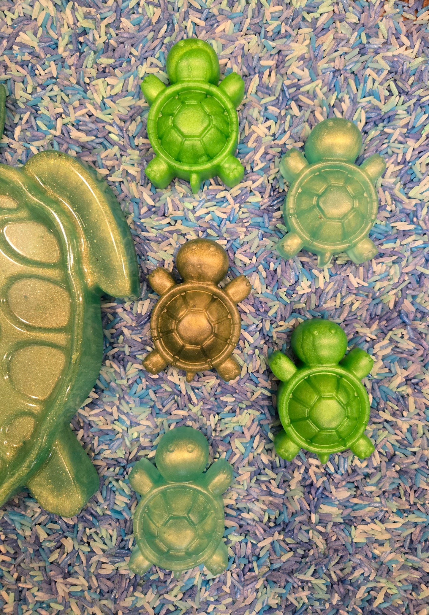 5 Little Turtles