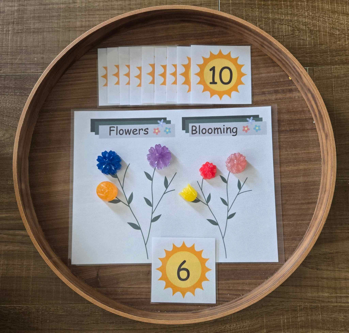 Resin Counting Activities