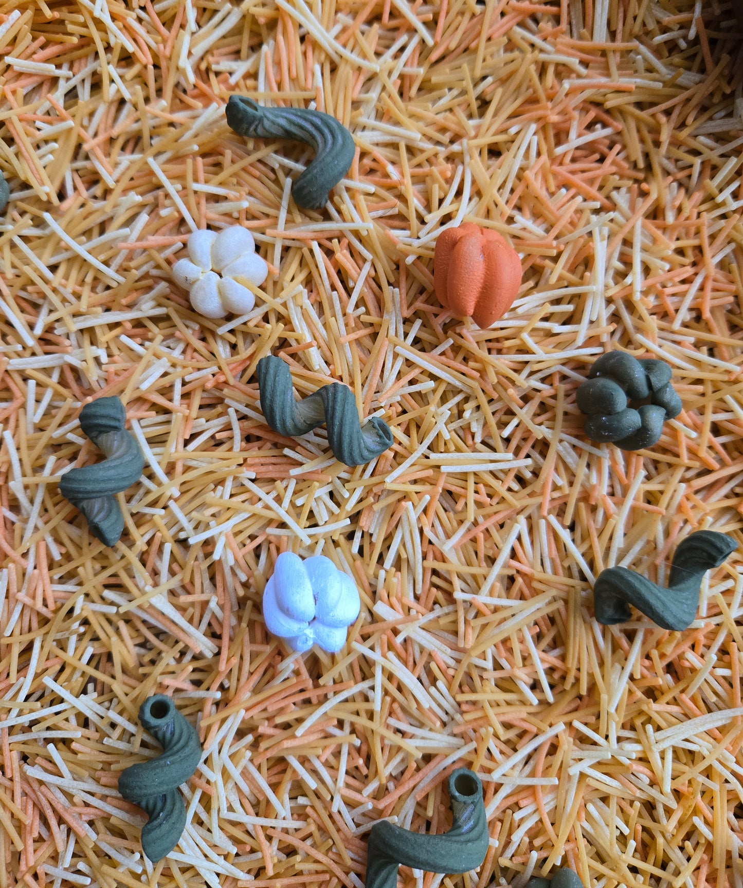 Into the Pumpkin Patch