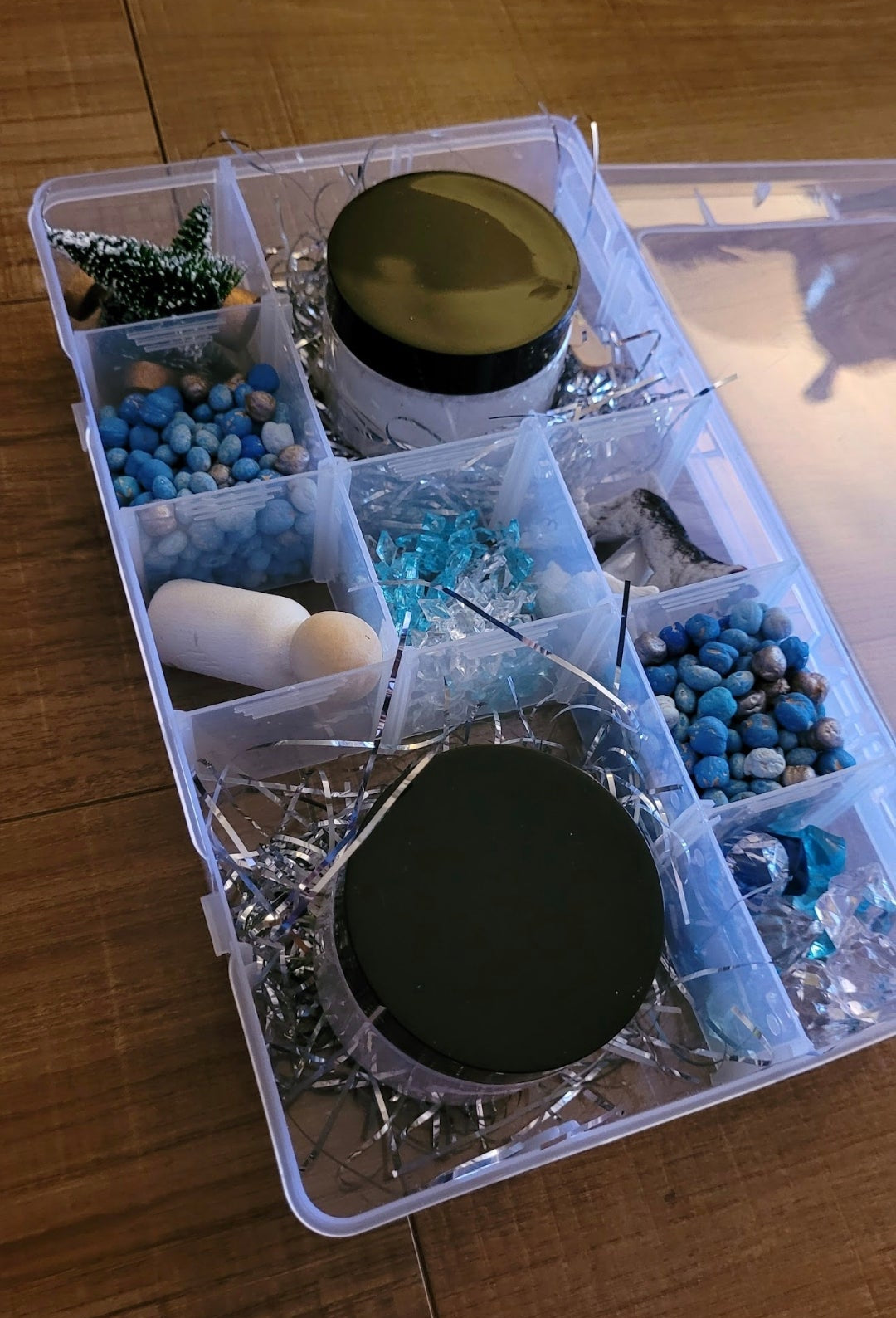 Arctic Animal Sensory