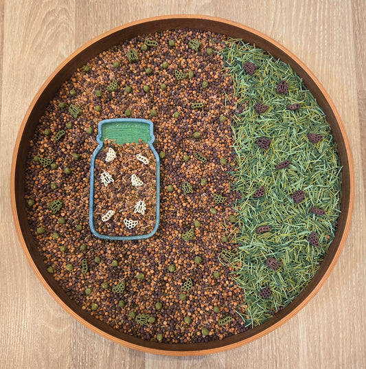 Bug Hunt Sensory Play