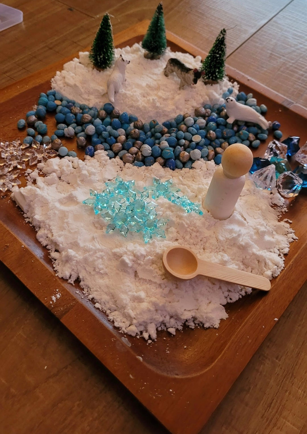 Arctic Animal Sensory