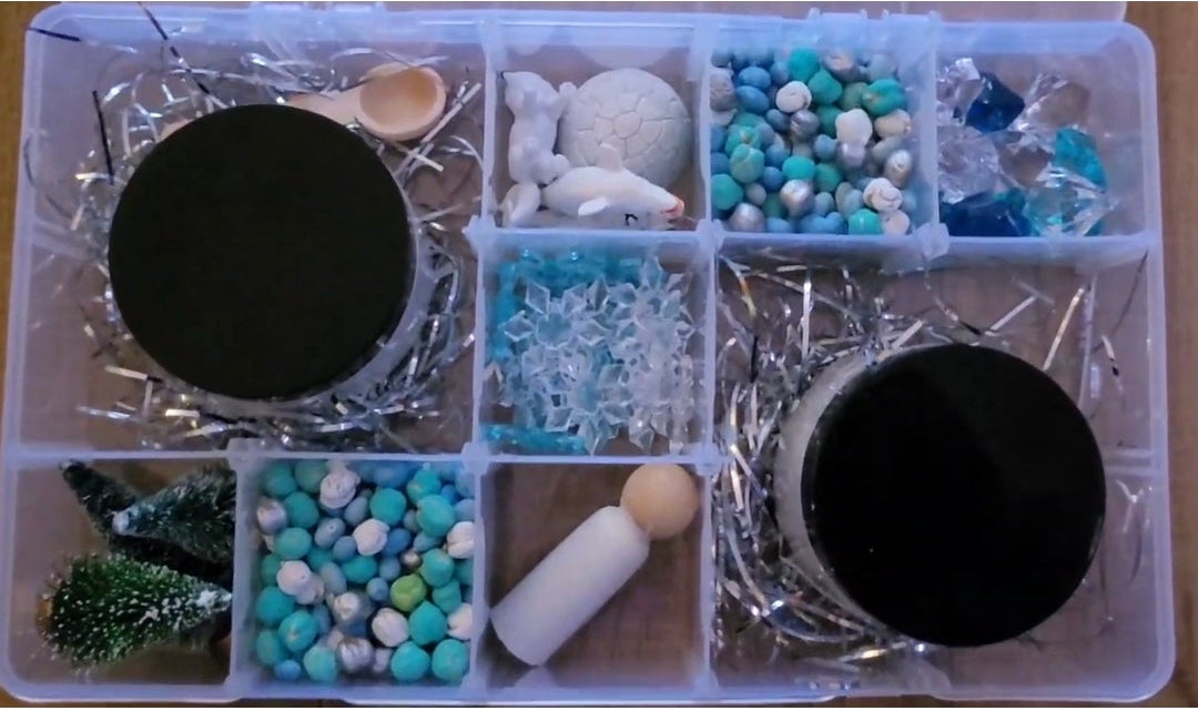 Arctic Animal Sensory