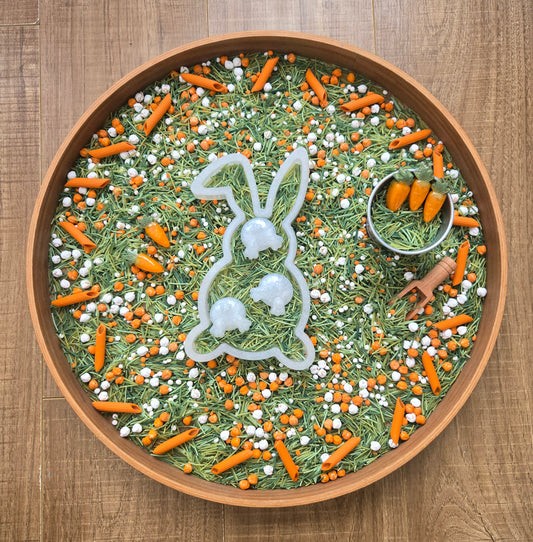 Easter Bunny Sensory Kit