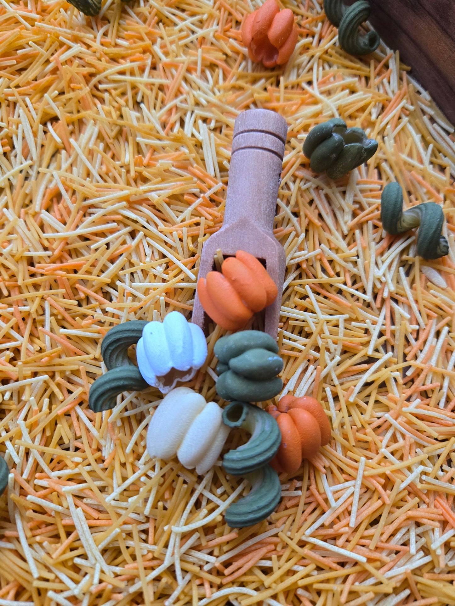 Into the Pumpkin Patch